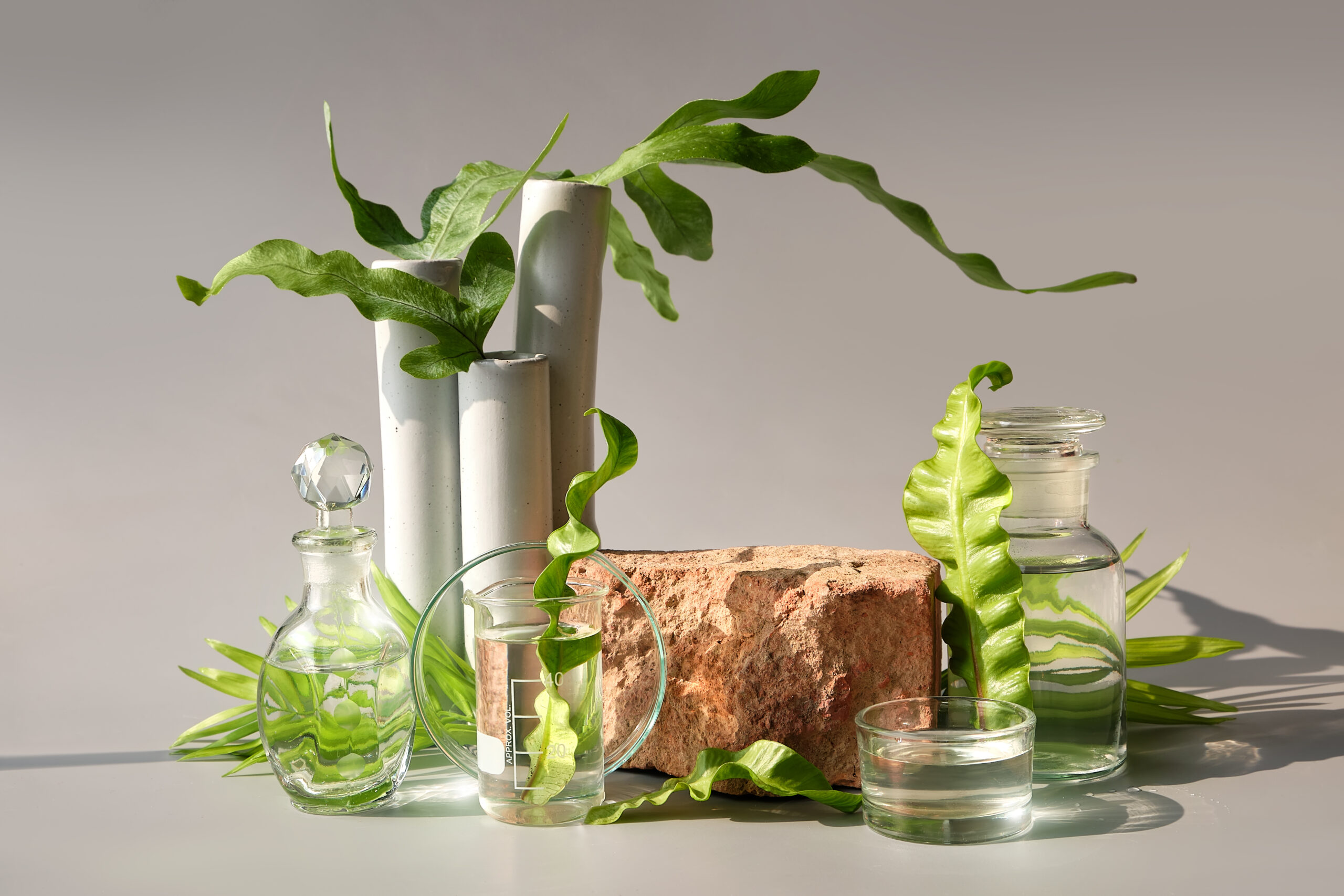 Vegan Beauty Products You Need to Try